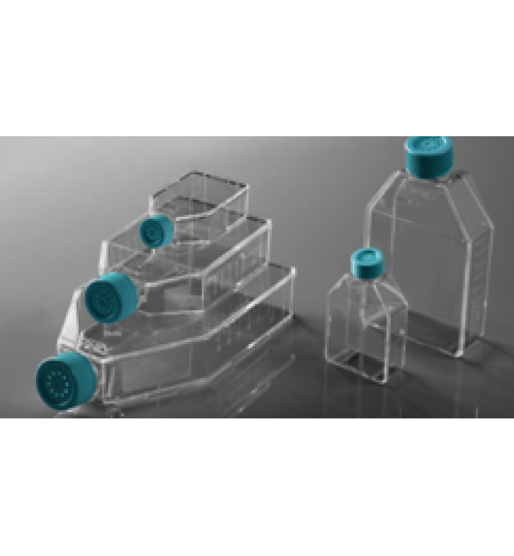 细胞造就瓶 Cell Culture Flasks