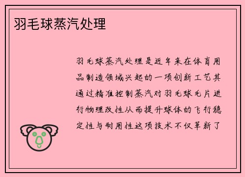 羽毛球蒸汽处理